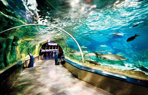 Aquarium turquie istanbul